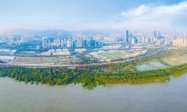 深圳市高质量推进湿地生态保护工作 率先打造人与自然和谐共生的美丽深圳